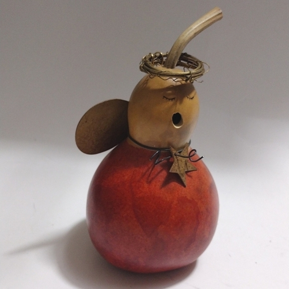 Other - Angel Gourd